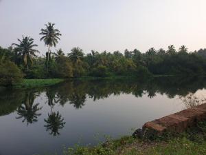 Farmville Riverside