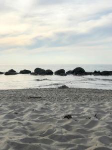 Classic Cottage 200 Metres From The Sea