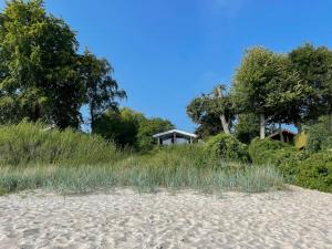Ægte Stemning Med Havudsigt Og Sandstrand