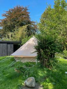 Ægte Stemning Med Havudsigt Og Sandstrand