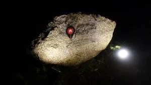 The Rendezvous Phangan - Ko Pha Ngan