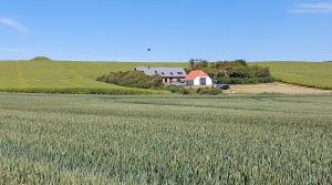 Peaceful Summer House Near Limfjorden