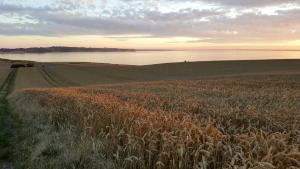 Peaceful Summer House Near Limfjorden