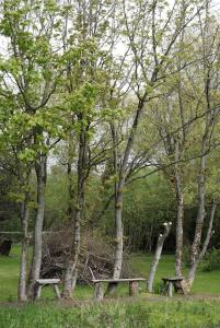 Renovated Estate With Private Beach