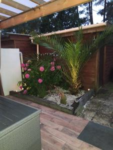 Maisons de vacances maison lacanau : photos des chambres