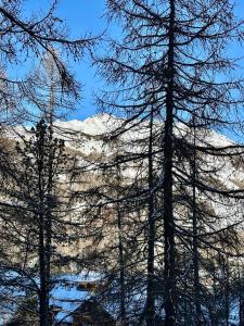 Appartements Studio au pied des pistes avec terrasse : photos des chambres
