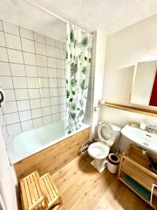 Appartements Studio au pied des pistes avec terrasse : photos des chambres