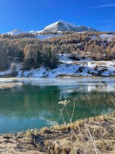Appartements Studio au pied des pistes avec terrasse : photos des chambres