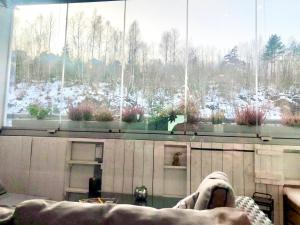 Cozy home away from home