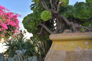 Villa Isola Bella - Bianconero img19