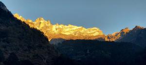 The Whispering Pines by Trekocity