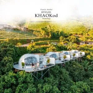 Khaokod Homestay - Pong Yaeng
