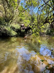 Paardekloof Farmhouse