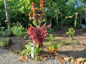 aparthotel las taranas