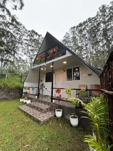 IInfinity Kodaikanal - Munnar