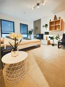 Appartements Le Petit Eden - Bale - Aeroport : photos des chambres
