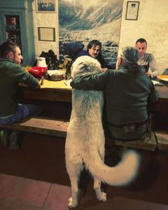 Monte Brugiana Centro trekking a cavallo