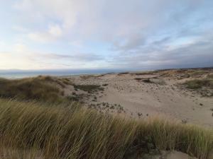 Appartements Opale les pins : photos des chambres