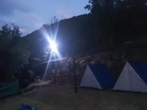 Campamento Monarcas