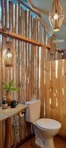 Glamping Algodões