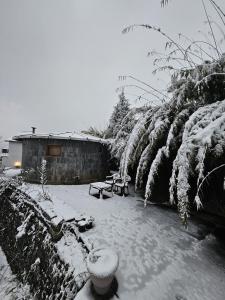 The Vanya, Boutique Stay