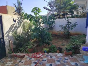 Maison les jasmins bleus