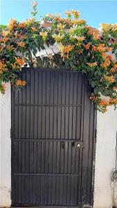 Maison les jasmins bleus