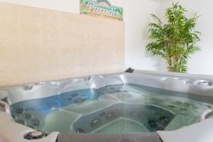 Maisons de vacances Gite du regourdel avec spa : photos des chambres