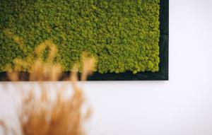 Beautiful Casa Vitale with pool in Tinjan