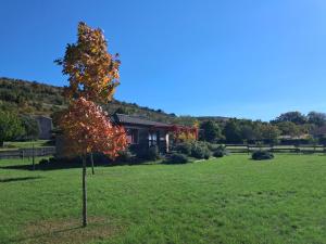 Maisons de vacances PETITE MAISON EN BOIS : photos des chambres