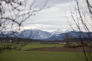 Apartment Rauschbergblick