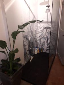 Maison Rose - Maison de village avec jardin privé, centre Capestang