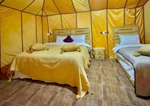 Merzouga nights camp& excursions