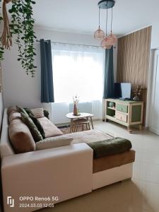 Appartements Le Kaki vegetal : photos des chambres