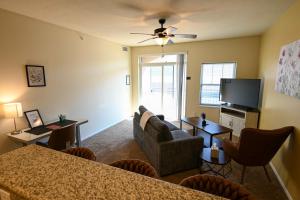 Cozy 1 Bedroom 1 Bathroom Near Mayo Clinic