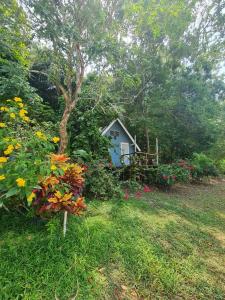 Sand and Sea Koh Kood