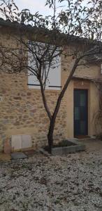 Appartements Le pommier : photos des chambres