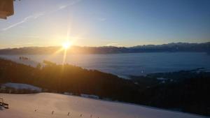 Ferienhaus Rheintalblick