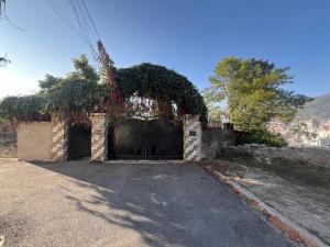 Avocado Accommodations