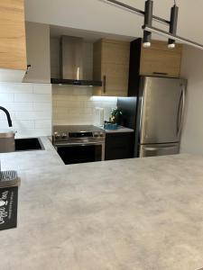 Luxurious modern basement apartment