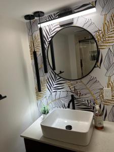 Luxurious modern basement apartment