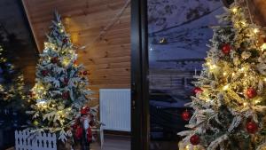 Kokhta Cottage Kazbegi