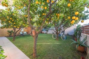 In the center of Messolonghi