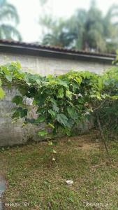 Casa aconchegante de Praia