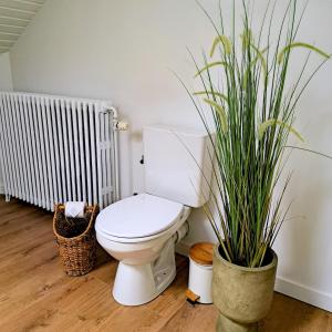 Chambre et salle de bain privative