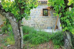 Appartements La Gourmandine -Gites : photos des chambres