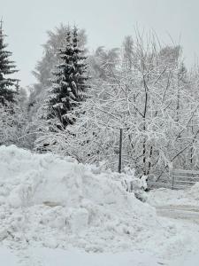 Apartament Panorama 213 Czarna Góra