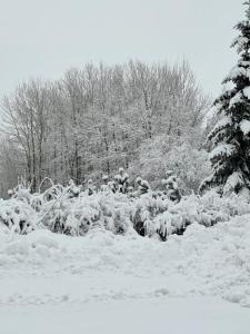 Apartament Panorama 213 Czarna Góra