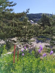 Gréolières les Neiges Studio 4 personnes