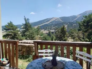 Gréolières les Neiges Studio 4 personnes - 格雷奥利埃